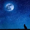 Hviezdna obloha s mesiacom.  Výklad snu: hviezda.  Hviezdna obloha.  Padajúca hviezda.  Mesiac a hviezdy.  Ako sa rodia hviezdy
