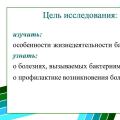 Проект о бактериях. Бактерии. Краткая аннотация проекта