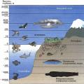 How does the biosphere differ from other layers of the earth?