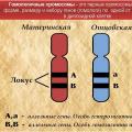 Interaction of non-allelic genes: complementary action, epistasis What is complementary gene interaction