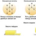 Липидүүд ба тэдгээрийн үүрэг.  Лицей дэх биологи