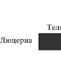 Пищевые цепи, пищевые сети и трофические уровни Составить свой пример пищевой сети